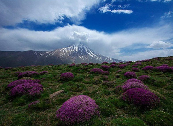 ایرانِ زیبای ما (40)