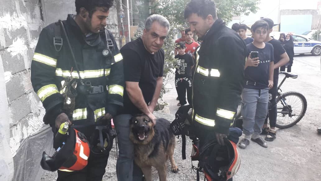 نجات سگ گرفتار در حریق توسط آتش‌نشانان