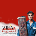 قالیشویی زیبا - شناور