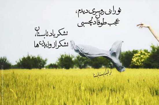 مینی شعر (249)