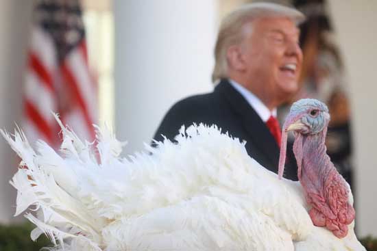 تصاویری از ترامپ در مراسم شکرگزاریِ کاخ سفید