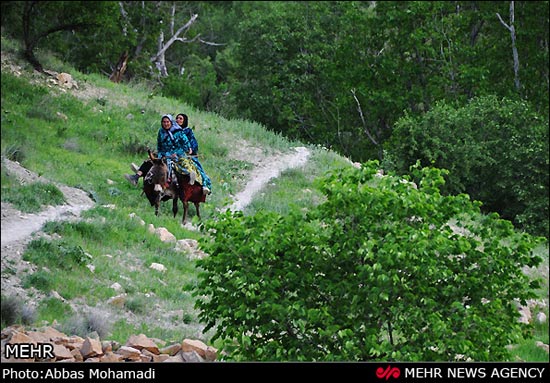 طبیعت بهاری روستای آب ملخ