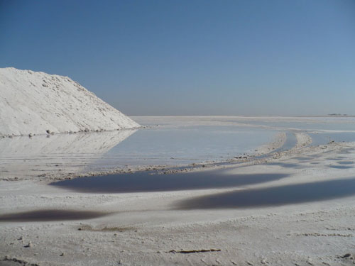 عاقبت همنوعان دریاچه ارومیه