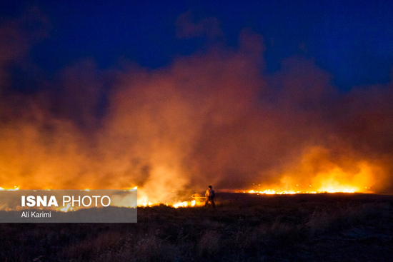 آتش سوزی مزارع کشاورزی در اراک