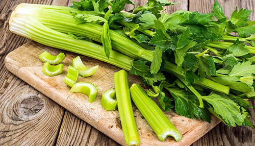 ۱۰ ماده غذایی گیاهی برای بهبود سلامت کلیه‌ها