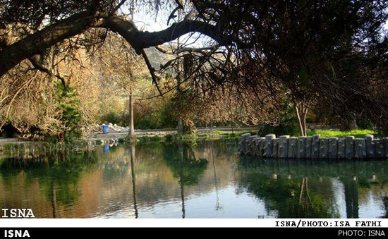 باغ چشمه بلقیس کجاست؟ +عکس