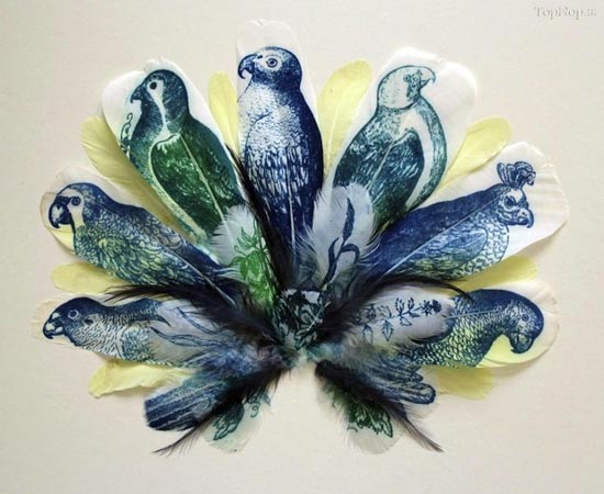 نقاشی های زیبا از پرنده ها روی پر +عکس