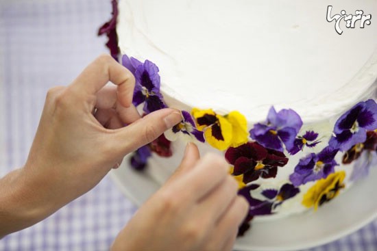 کیک وانیلی با گل های بنفشه