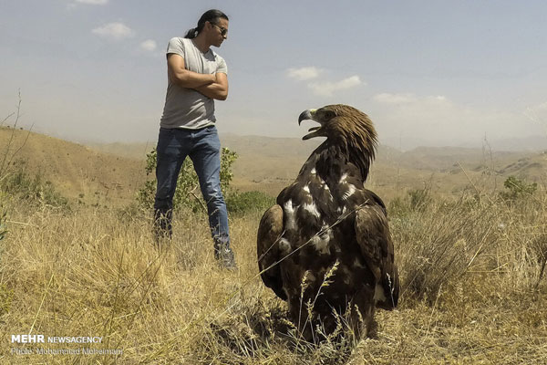 رهاسازی گونه‌های جانوری در پارک ملی خجیر