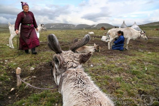 عکس: ملاقات با عشایر ساتان در مغولستان