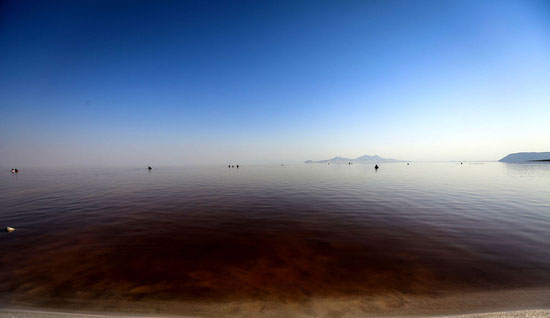 لجن‌درمانی در دریاچه ارومیه
