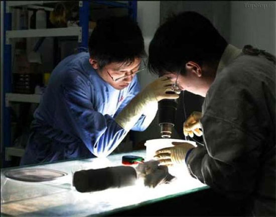 دنیای تن ها، نمایش اجساد مرده +عکس