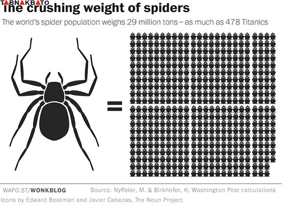واقعیتی عجیب از قدرت عنکبوت‌ها در نابودی حیات بشر