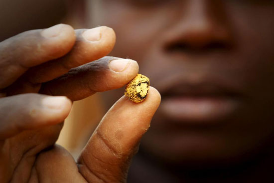 استخراج طلا در ساحل عاج +عکس