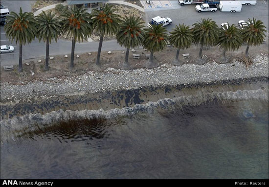 فاجعه زیست محیطی در ساحل کالیفرنیا