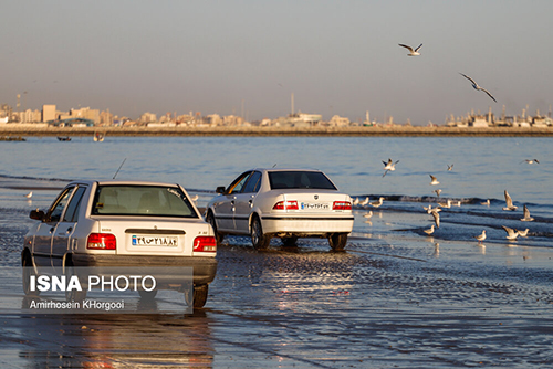 ساحل خلیج فارس زیر چرخ خودرو‌ها