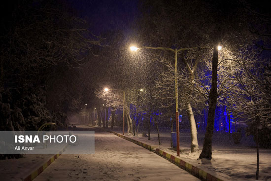 بارش شدید برف در اردبیل