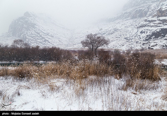 طبیعت زیبای زمستان در ارومیه