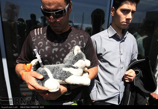 عکس: اعتراض تهرانی ها به سگ کشی اخیر