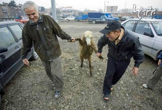 عجایبی که فقط در ایران می توان دید (26)
