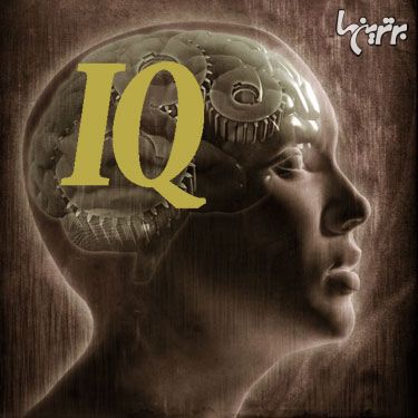IQ یعنی چی؟