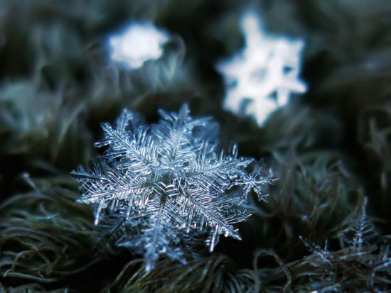 عکاسی شگفت‌انگیز از دانه‌ های برف