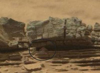 کشف خرچنگ در مریخ؟! +عکس