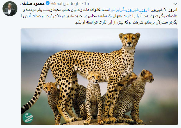 عذرخواهی صادقی از خانواده فعالان محیط زیست